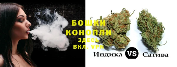 ECSTASY Дмитриев