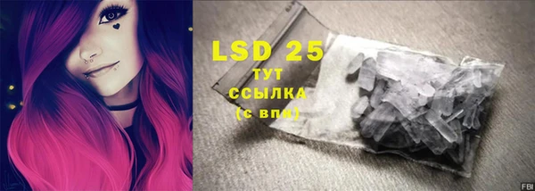 ECSTASY Дмитриев