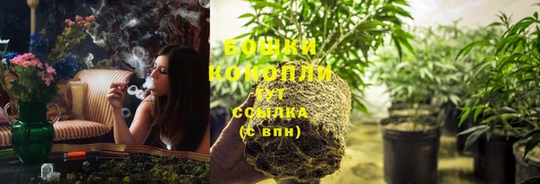 МДПВ Дмитров